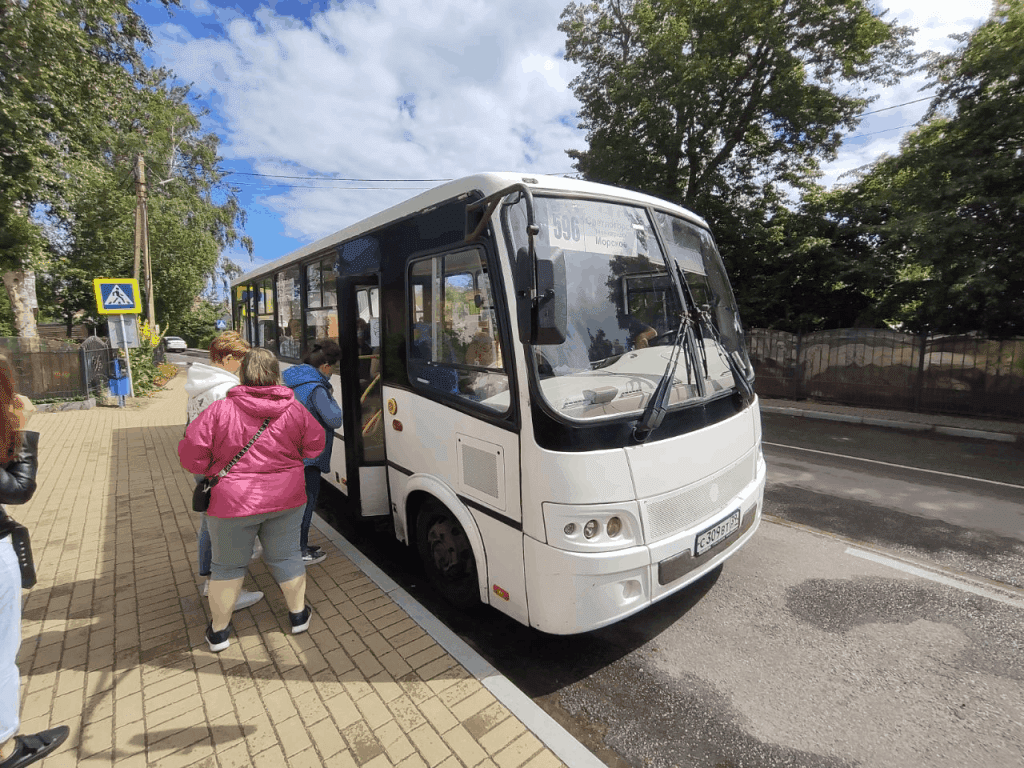 Маршрут 141 автобуса зеленоградск калининград остановки и расписание